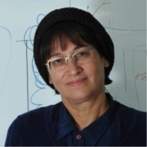Prof. Patrice L. (Tamar) Weiss, PhD, OT