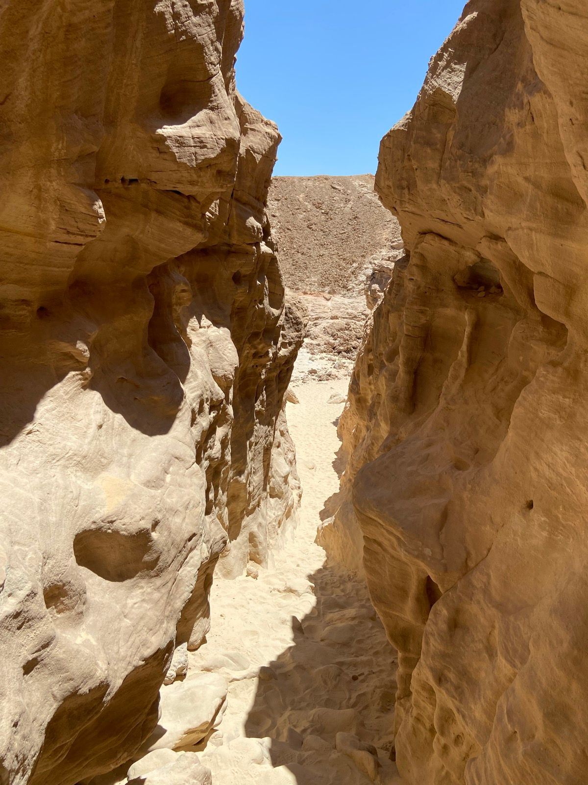 אתגרי יום ראשון